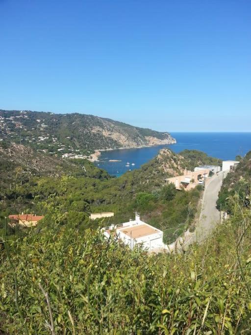 Casa Torre Cruilles Big, Stylish, Modernized 'Castle' Prime Costa Brava With Acヴィラ エクステリア 写真
